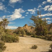 AL_Oasis_Lawrence_de_Arabia_2