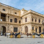 El Ayuntamiento ocupa un edificio histórico que constituye una de las muestras más notables de la arquitectura plateresca. Se encuentra ubicado en la Plaza Nueva en Sevilla, Andalucía, España