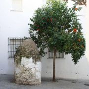 CALLE POZO , POZO Y NATRANJO