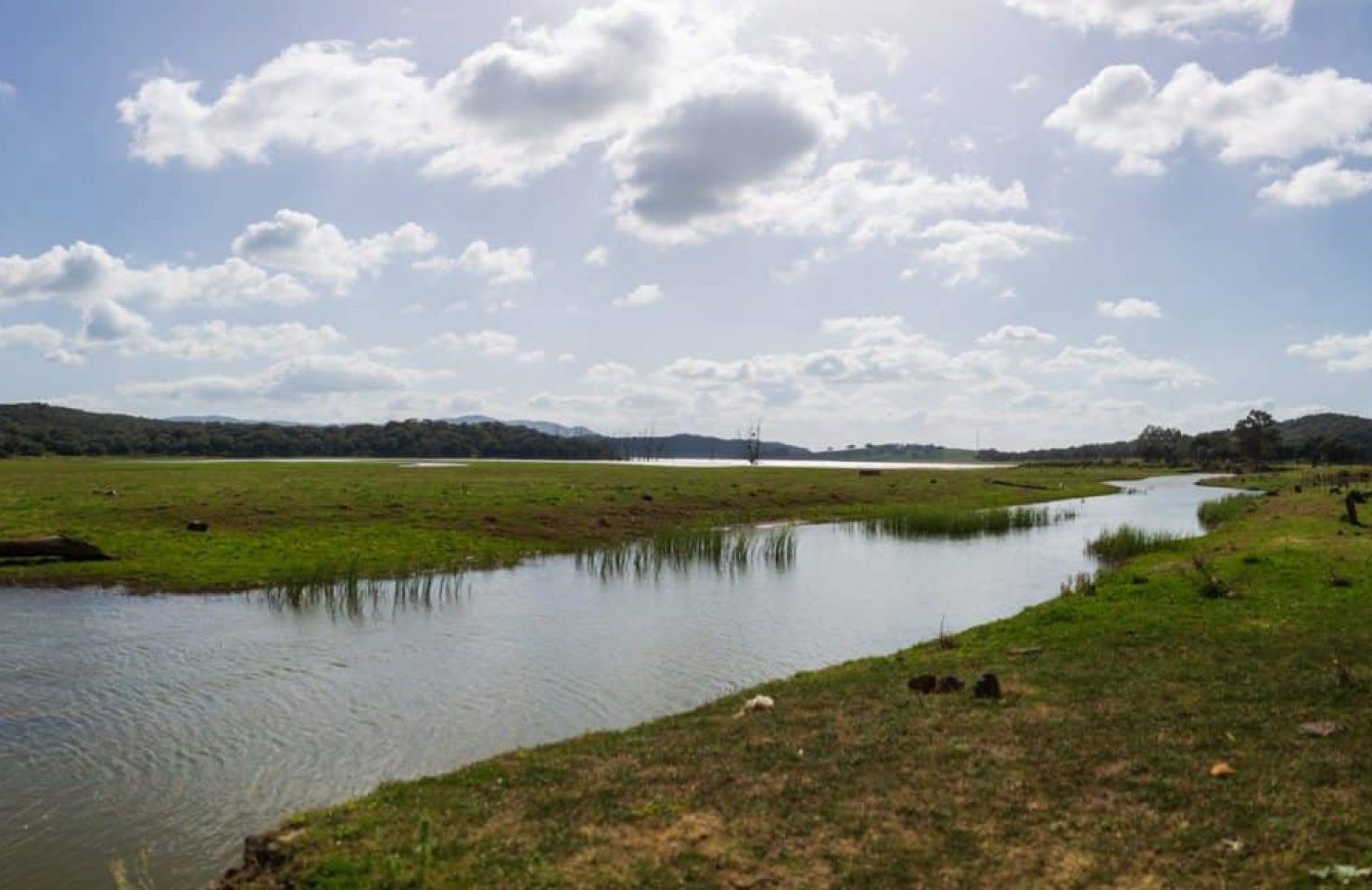 CA_Alcala_Gazules_Embalse_Barbate (1 de 1)