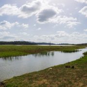 CA_Alcala_Gazules_Embalse_Barbate (1 de 1)