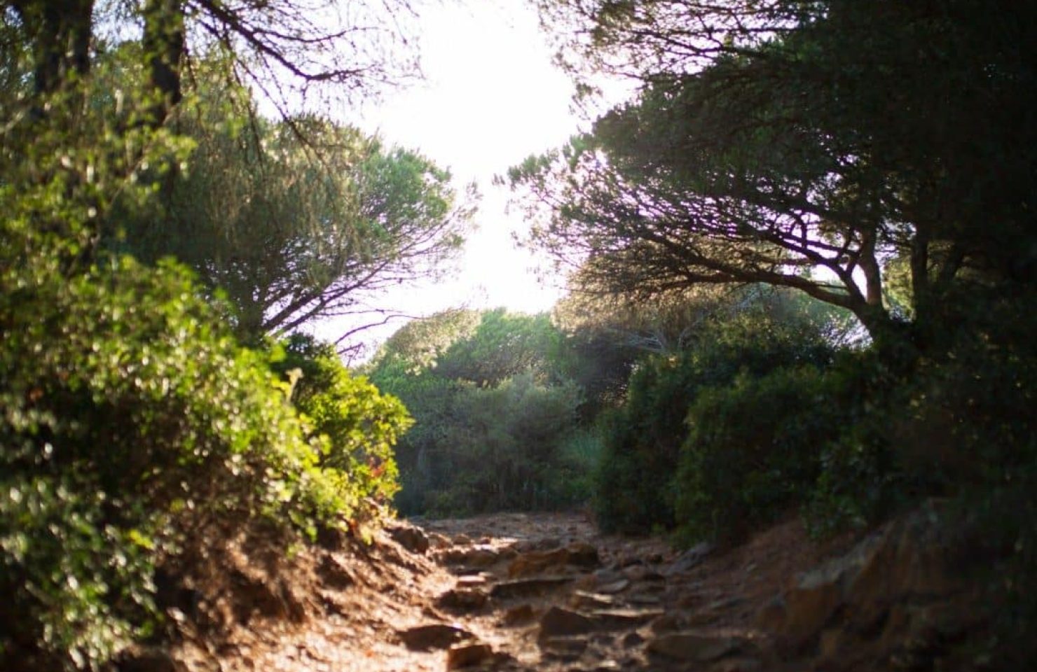 CA_Bolonia_Betijuelo (1 de 7)