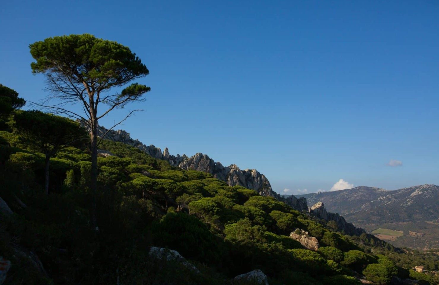 CA_Bolonia_Betijuelo (2 de 7)