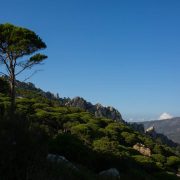 CA_Bolonia_Betijuelo (2 de 7)