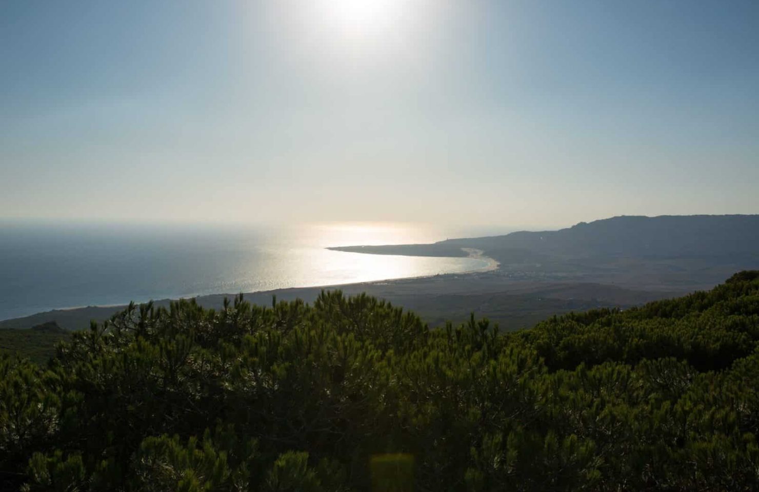 CA_Bolonia_Betijuelo (4 de 7)