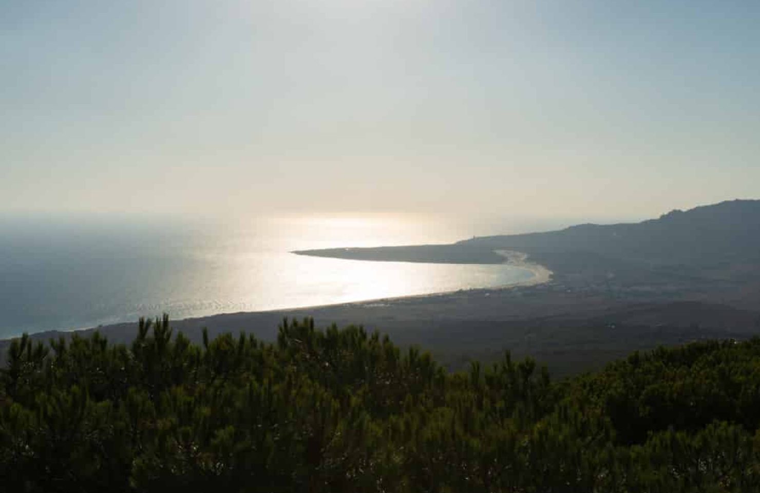 CA_Bolonia_Betijuelo (5 de 7)