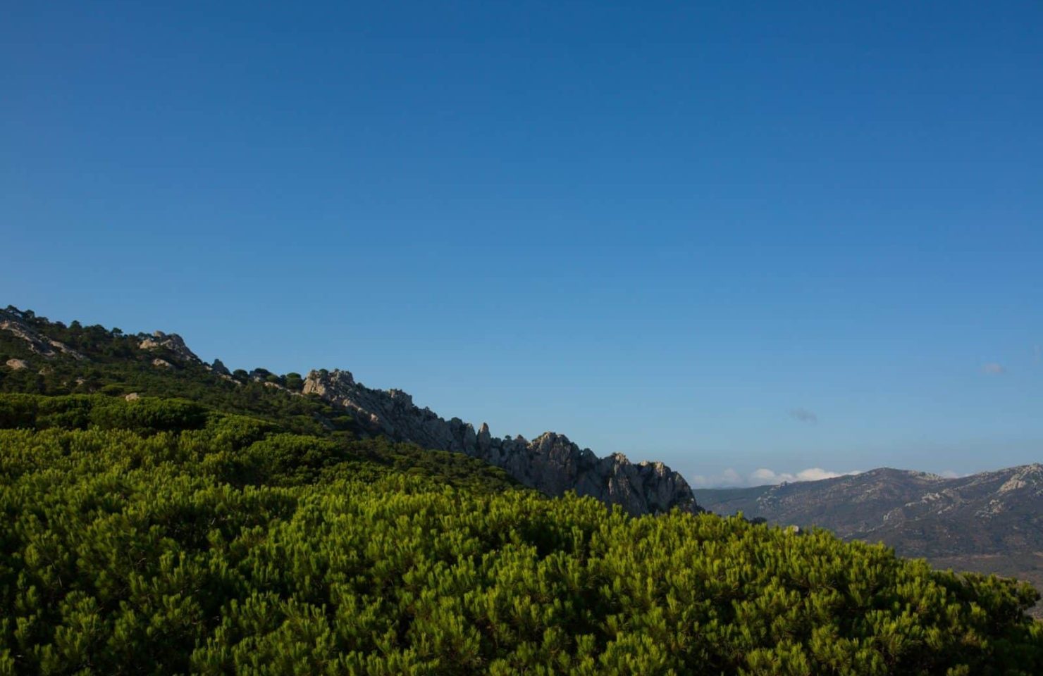 CA_Bolonia_Betijuelo (6 de 7)