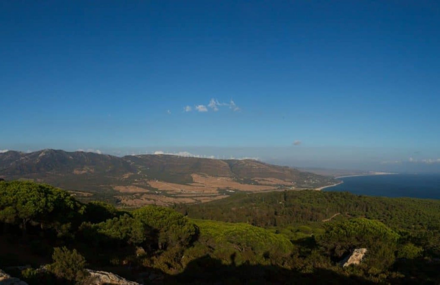 CA_Bolonia_Betijuelo (7 de 7)