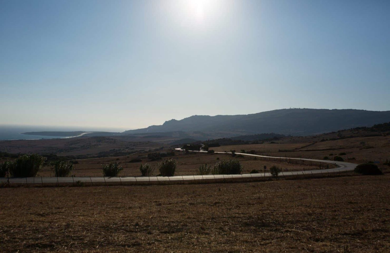 CA_Bolonia_CA8202 (1 de 1)