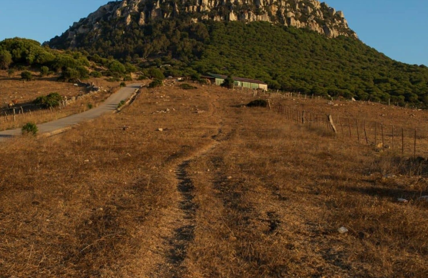 CA_Bolonia_Cerro_de_Bartolo (1 de 3)