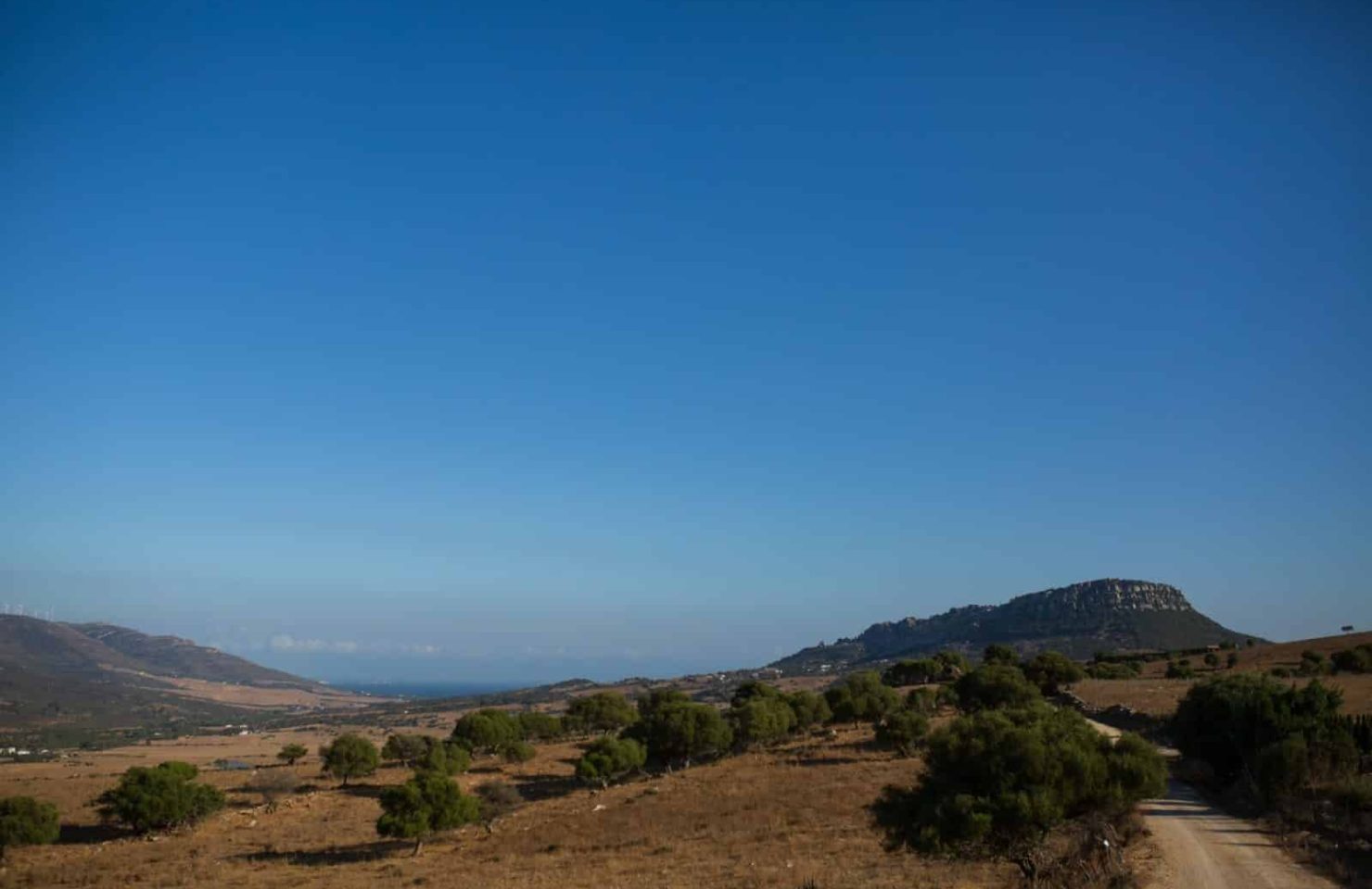 CA_Bolonia_Cerro_de_Bartolo (3 de 3)