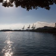CA_Cadiz_Jardines_Alameda_Apodaca (1 de 4)