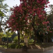 CA_Cadiz_Plaza_de_Mina (1 de 1)