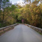 CA_Castellar_Fra_Rio_Guadarranque (1 de 1)