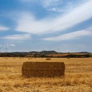 CA_Conil_Rio_Salado (2 de 2)