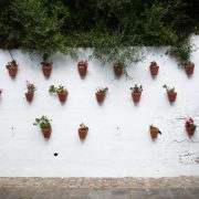 CA_Tarifa_Calle_Padre_Felix (1 de 6)