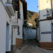 Calle 1