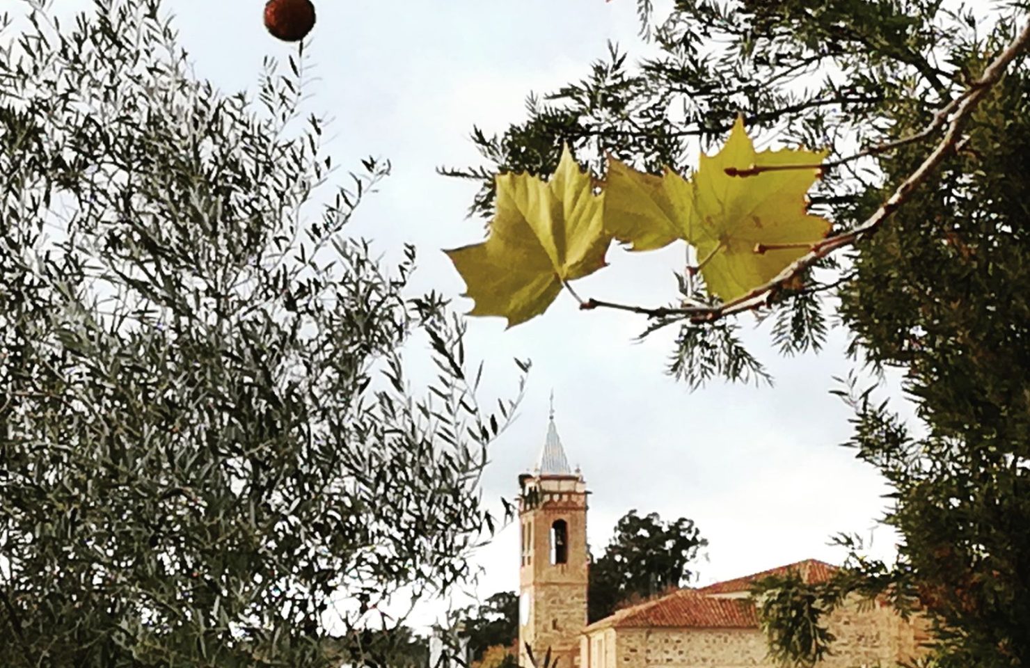 IGLESIA San Martin (1)