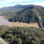 IMG-20250221-WA0005