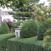 IMG_9642