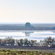 LAGUNAS1