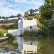 _MG_0130(1)(1)