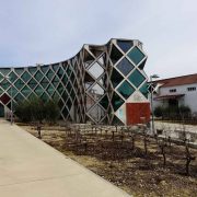 MUSEO DEL VINO 1