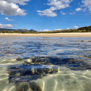 PLAYA BOLONIA 14