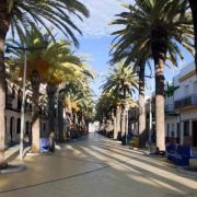 Paseo de las Palmeras 1