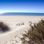Playa del camping