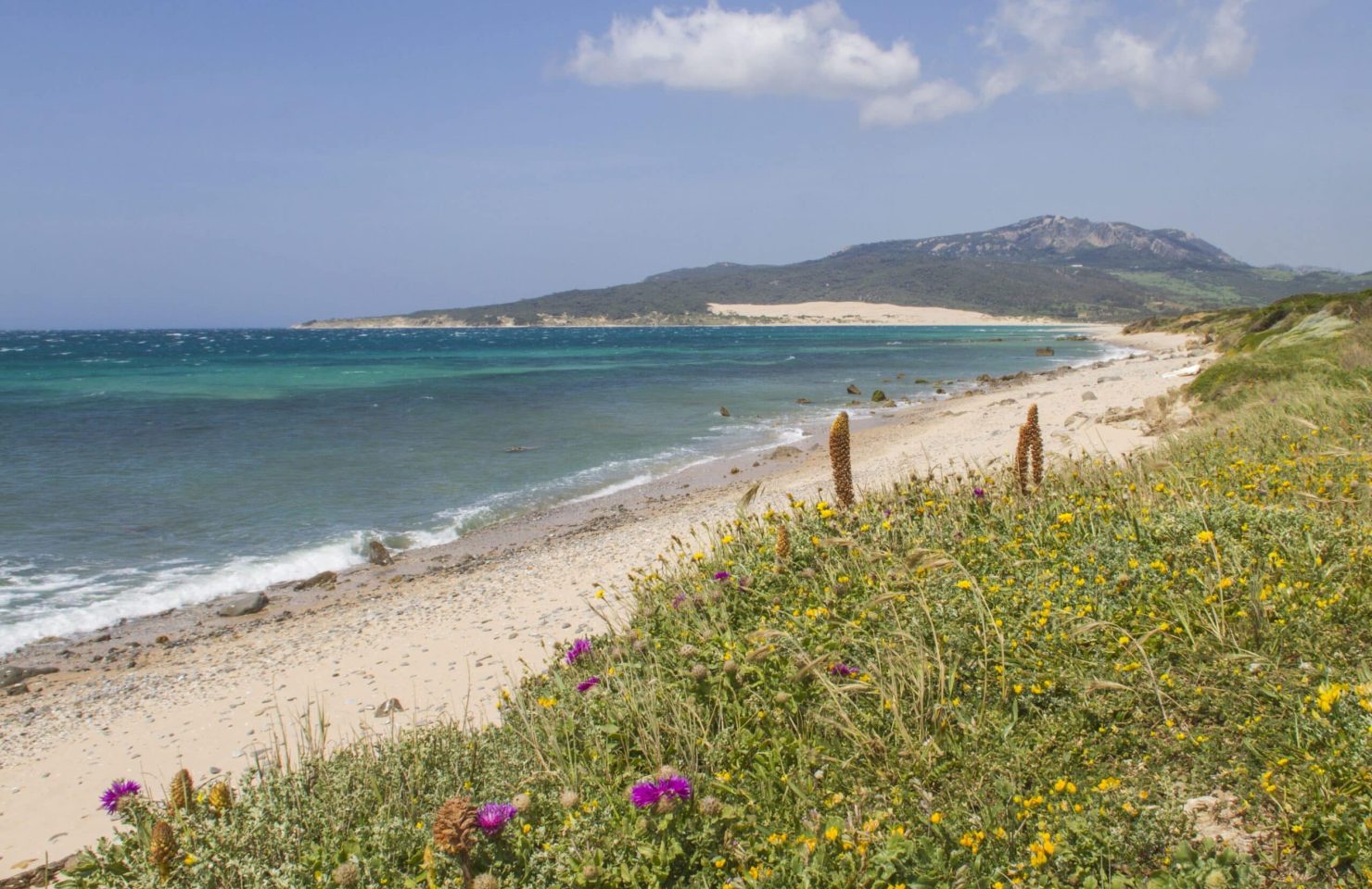 Playa del dulce Nombre XX