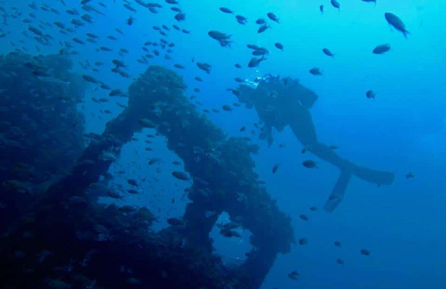 SAN ANDRES pecios buceo