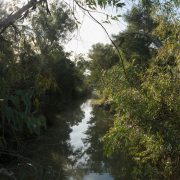 SE_Alcala_Guadaira_Rio_Guadaira-2-de-4.jpg