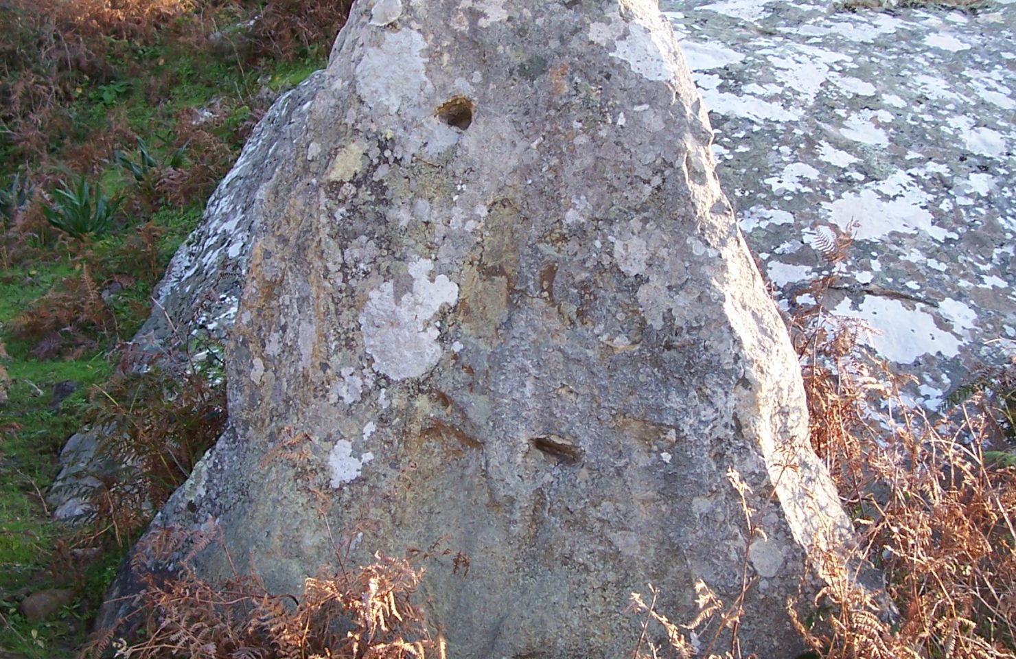 facinas-cabrerizas-038