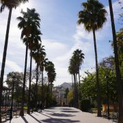 img788