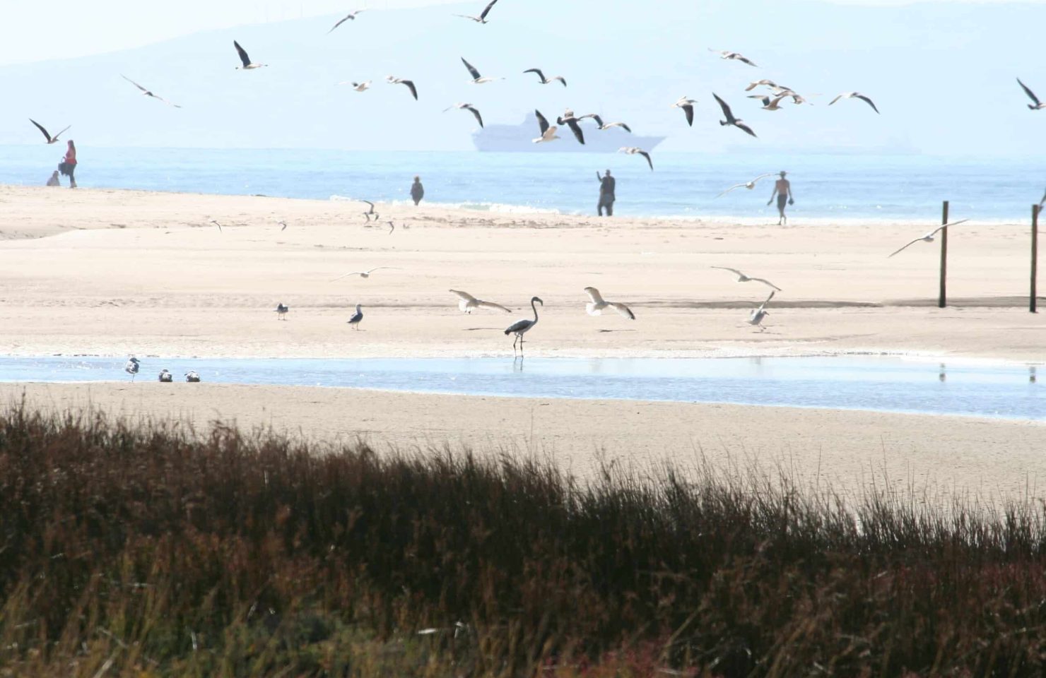playa de los Lances (1) (1)