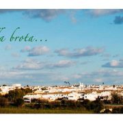 vistas de almonte